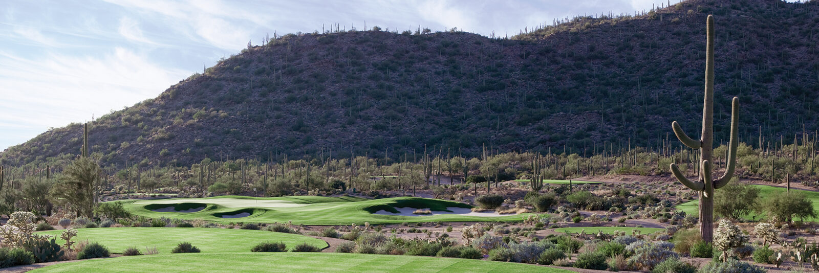 The Ritz-Carlton Golf Club, Dove Mountain