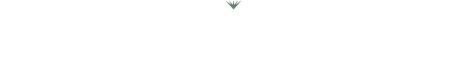 Greenbrier Southwest, LLC logo